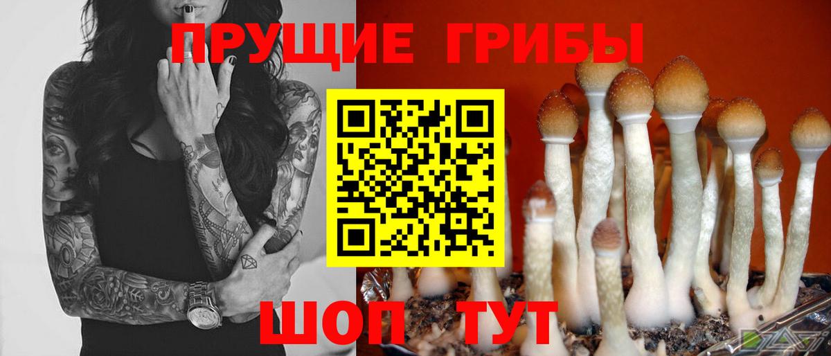 Псилоцибиновые грибы Psilocybe  Вход с VPN  Рубцовск  Галлюциногенные грибы MAGIC MUSHROOMS 