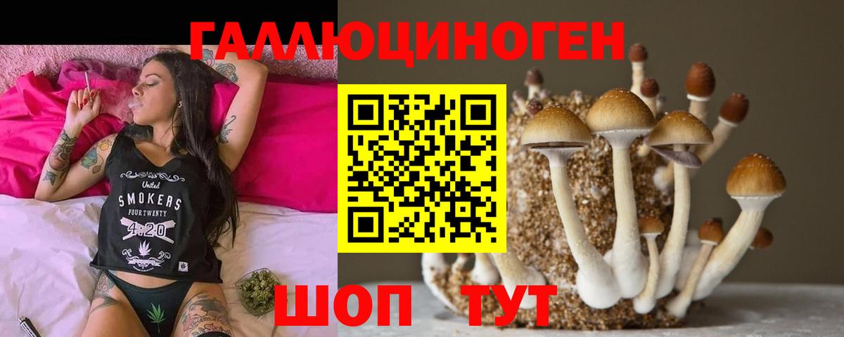 Псилоцибиновые грибы Magic Shrooms Рубцовск